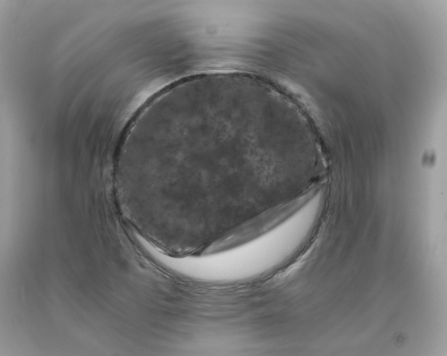 X0000091651457200709060948