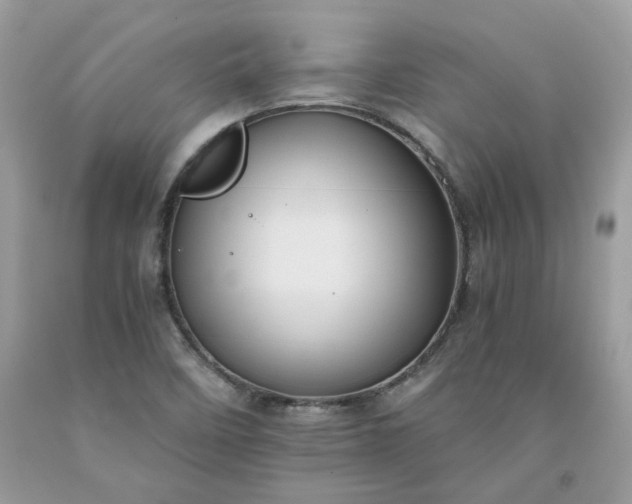 X0000091651458200709060948