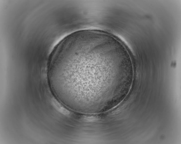 X0000091651460200709060948