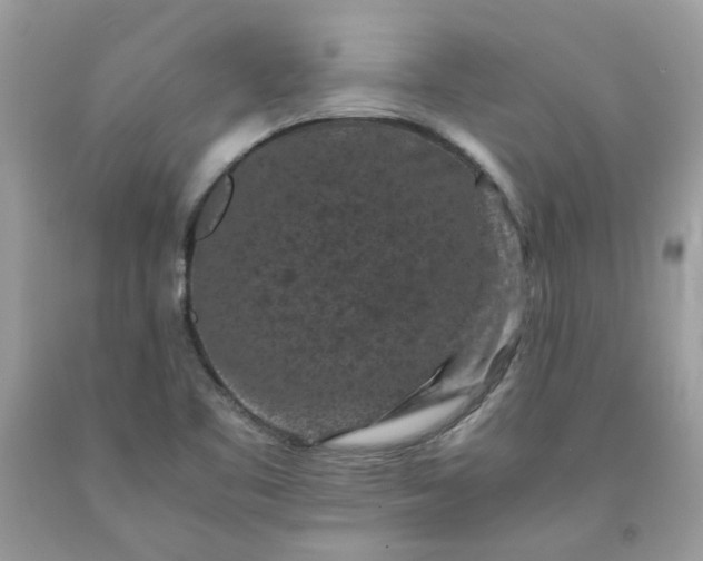 X0000091651461200709060948