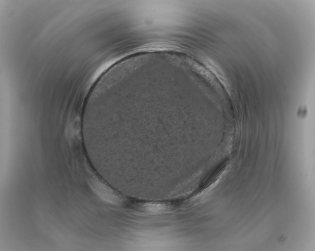 X0000091651465200709060948