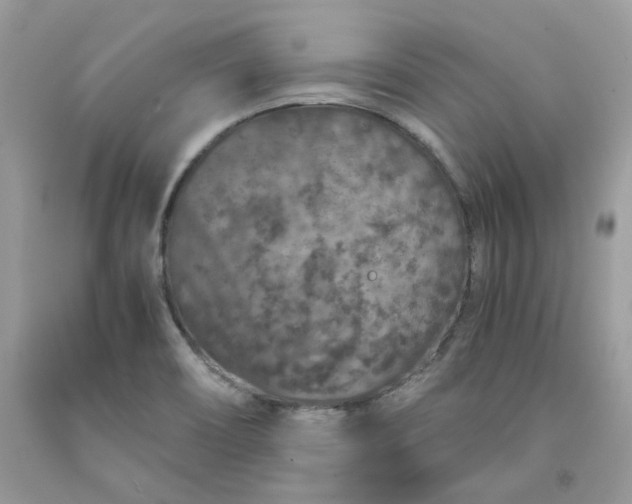 X0000091651466200709060948