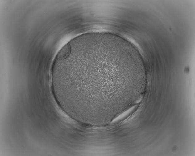 X0000091651467200709060948