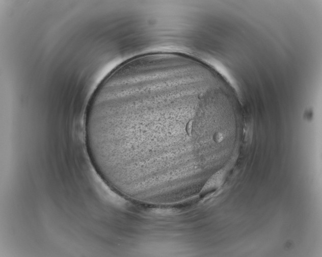 X0000091651468200709060948