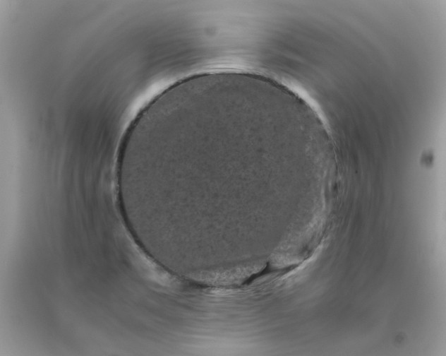 X0000091651469200709060948