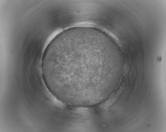 X0000091651470200709060948