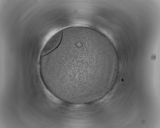 X0000091651471200709060948