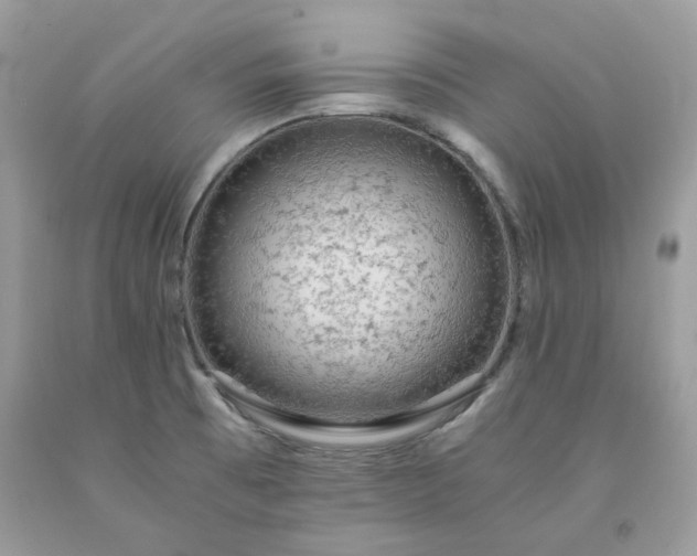 X0000091651473200709060948