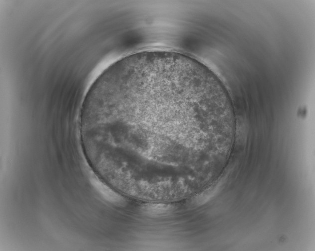 X0000091651474200709060948