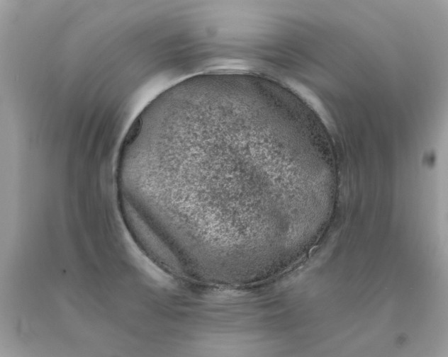 X0000091651475200709060948