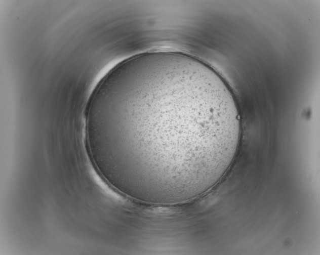 X0000091651476200709060948