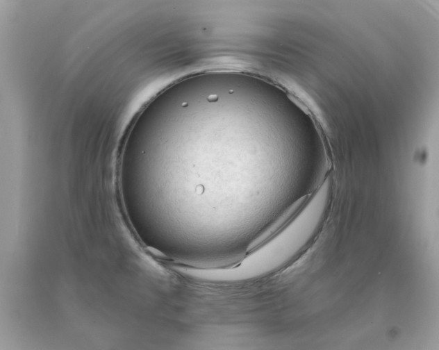 X0000091651477200709060948