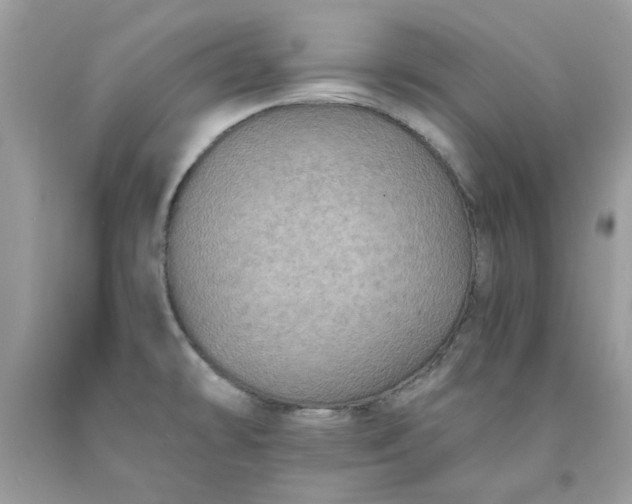 X0000091651478200709060948