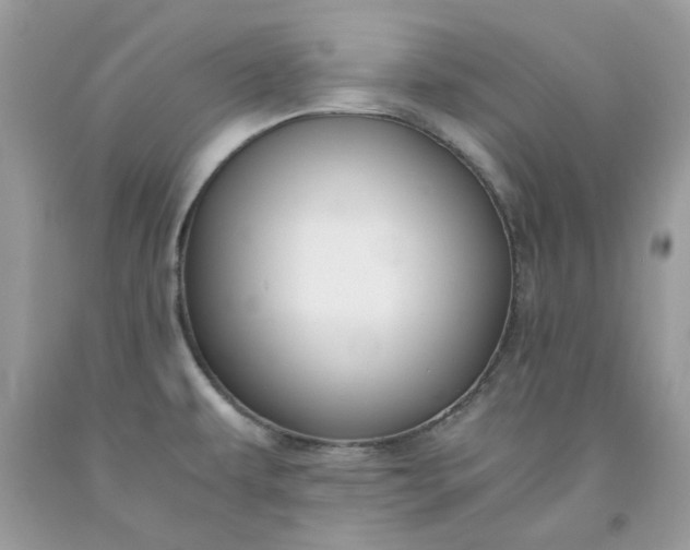 X0000091651479200709060948