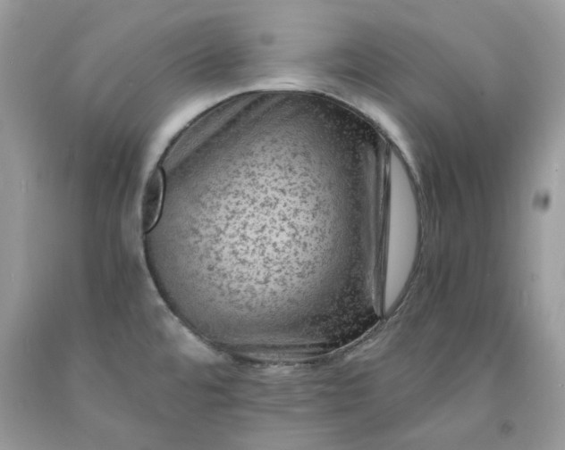 X0000091651480200709060948