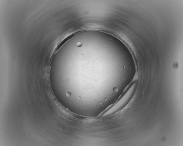 X0000091651481200709060948