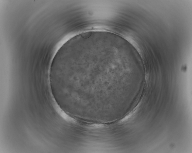 X0000091651482200709060948