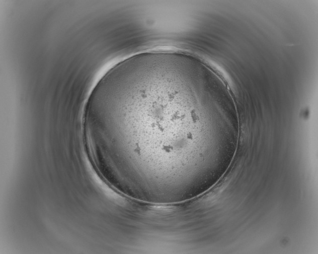 X0000091651483200709060948