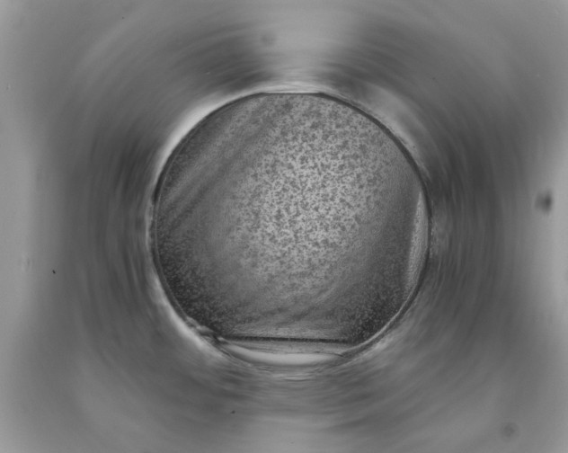 X0000091651484200709060948