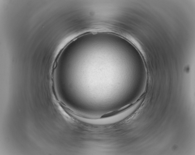 X0000091651485200709060948