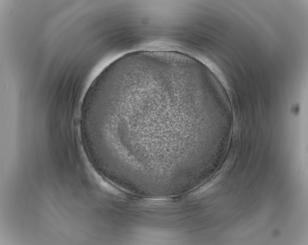 X0000091651486200709060948