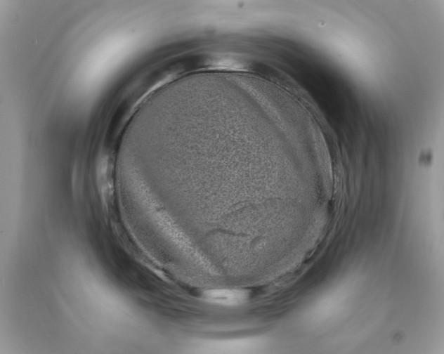 X0000091651487200709060948