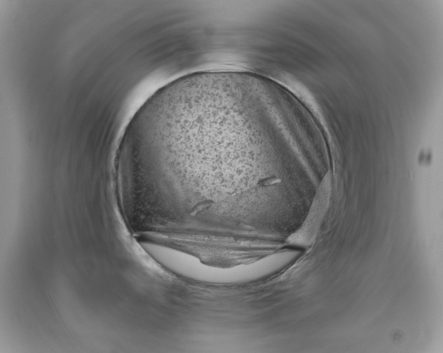 X0000091651488200709060948