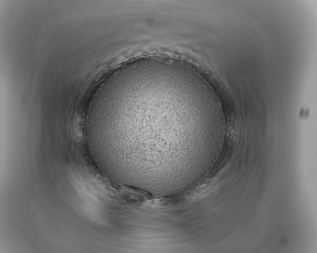 X0000091651490200709060947