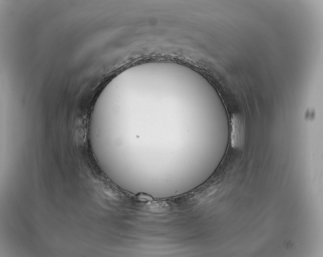 X0000091651491200709060948