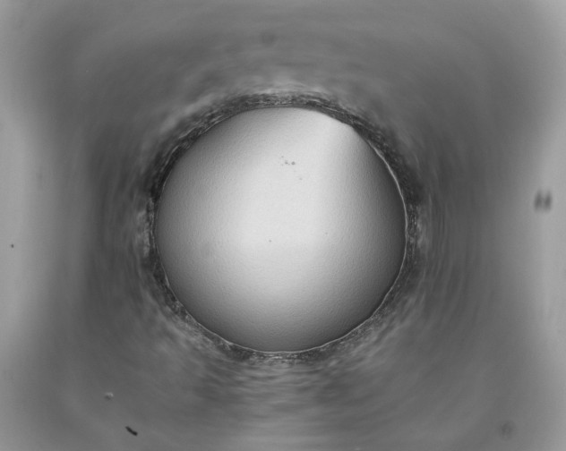 X0000091651493200709060948