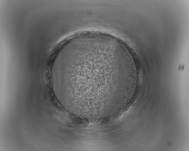 X0000091651494200709060948