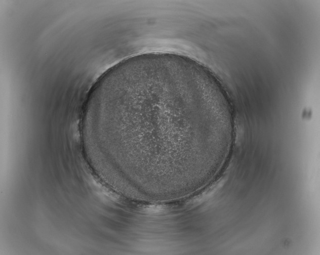 X0000091651497200709060948