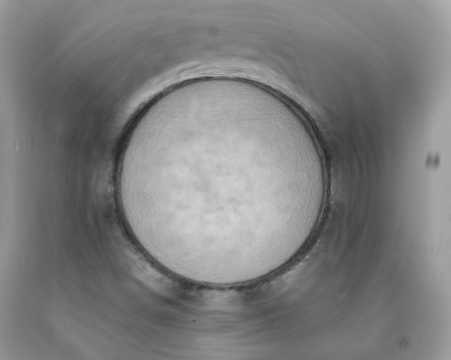 X0000091651498200709060948