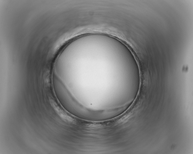 X0000091651499200709060948