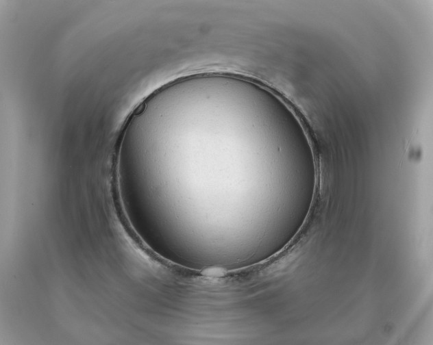 X0000091651500200709060948