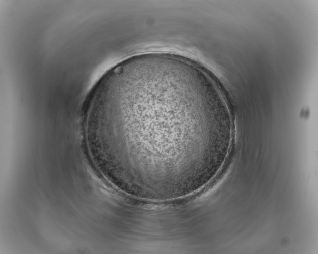 X0000091651501200709060948