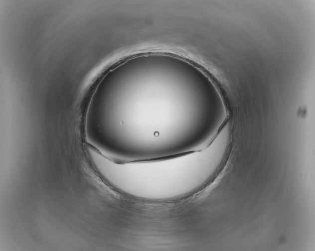 X0000091651502200709060948