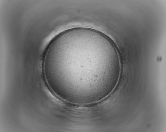 X0000091651503200709060948