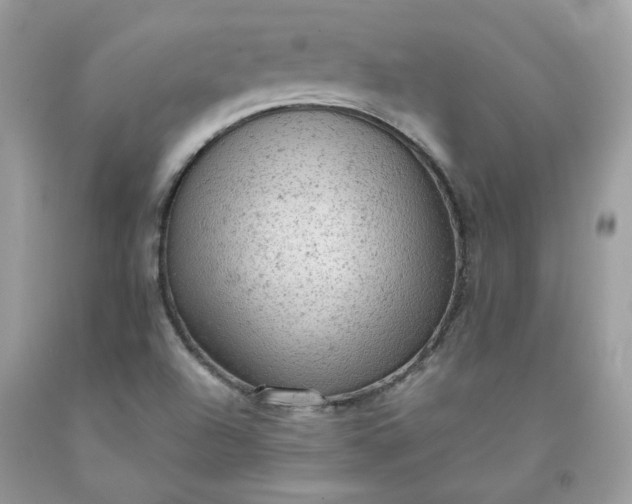 X0000091651504200709060948