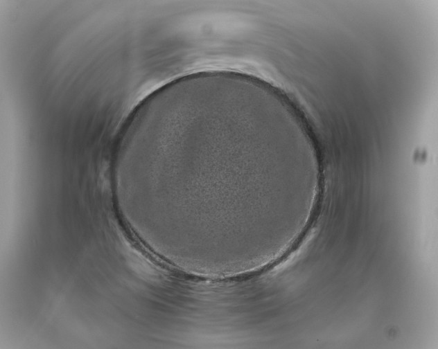 X0000091651505200709060948