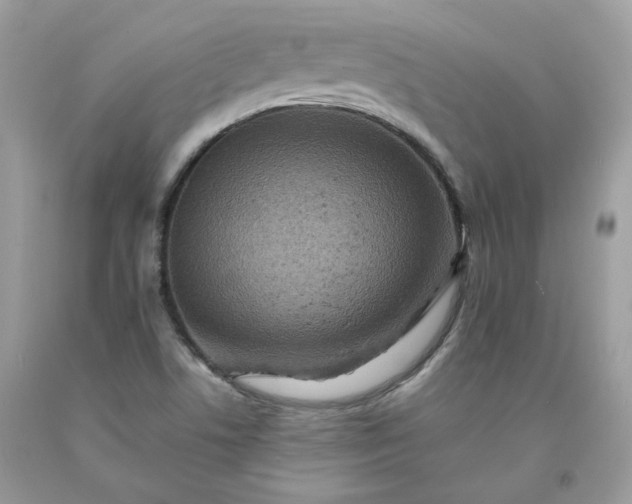 X0000091651506200709060948