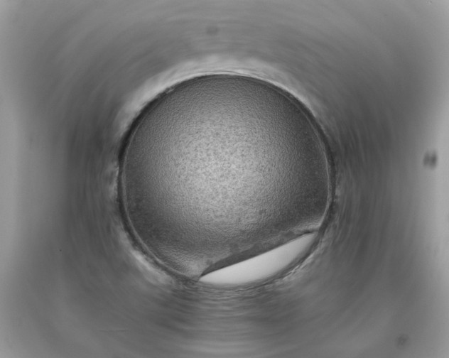 X0000091651507200709060948