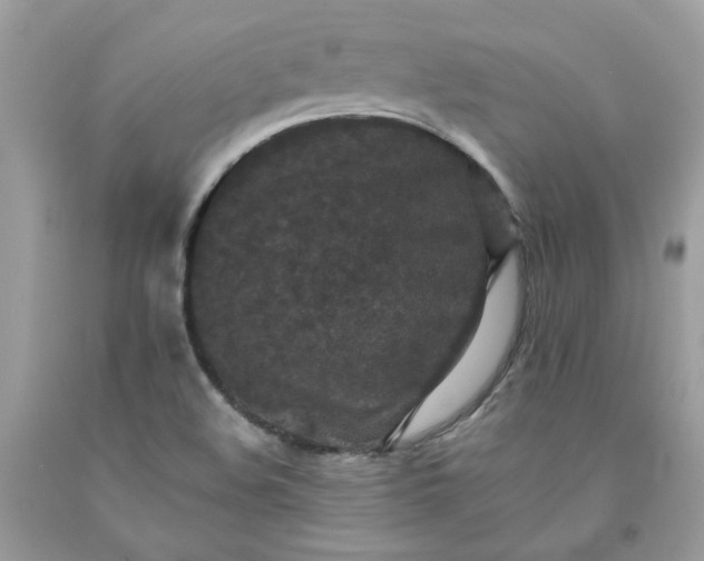 X0000091651508200709060948