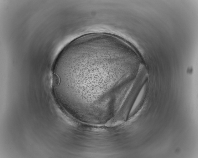 X0000091651509200709060948