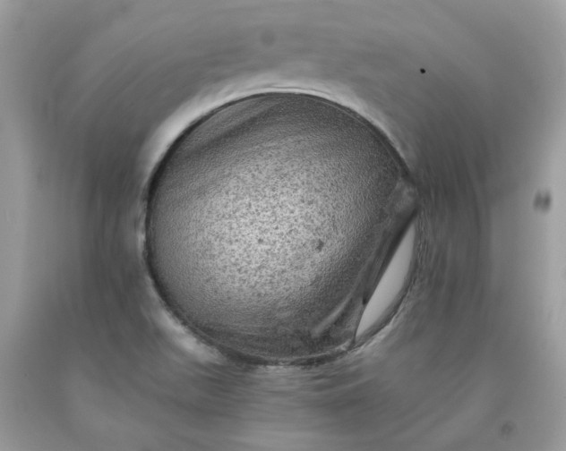 X0000091651511200709060948