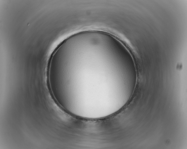 X0000091651512200709060948