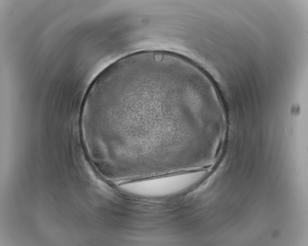 X0000091651513200709060948