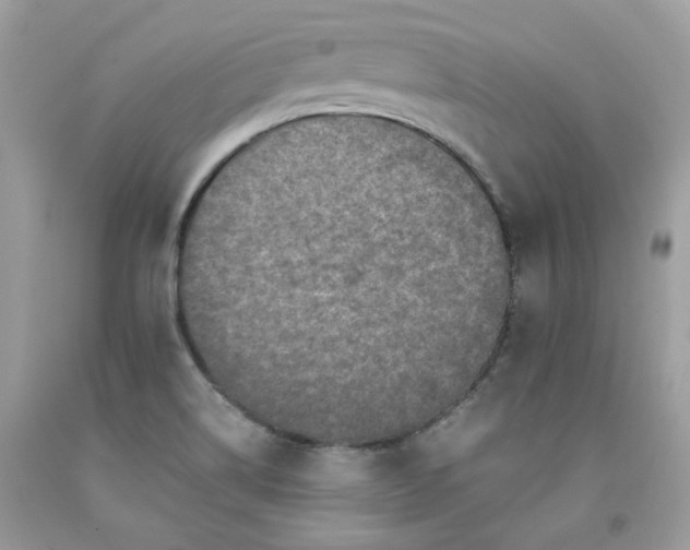 X0000091651514200709060948