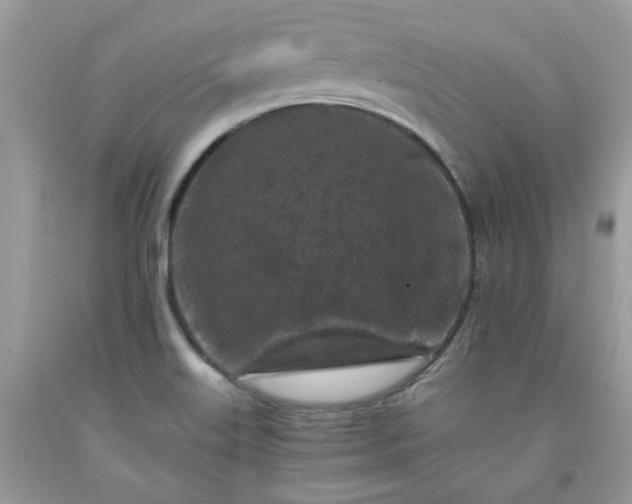 X0000091651515200709060948