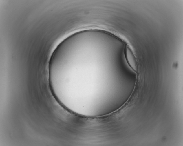 X0000091651516200709060948